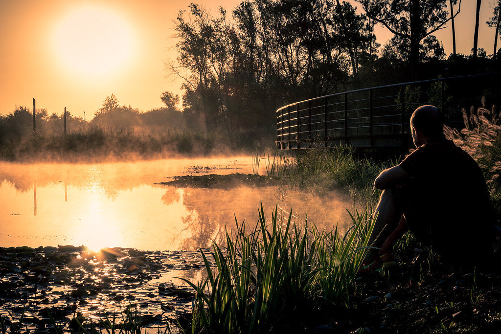 Person sitting by misty lake at sunrise — sauna and brain health