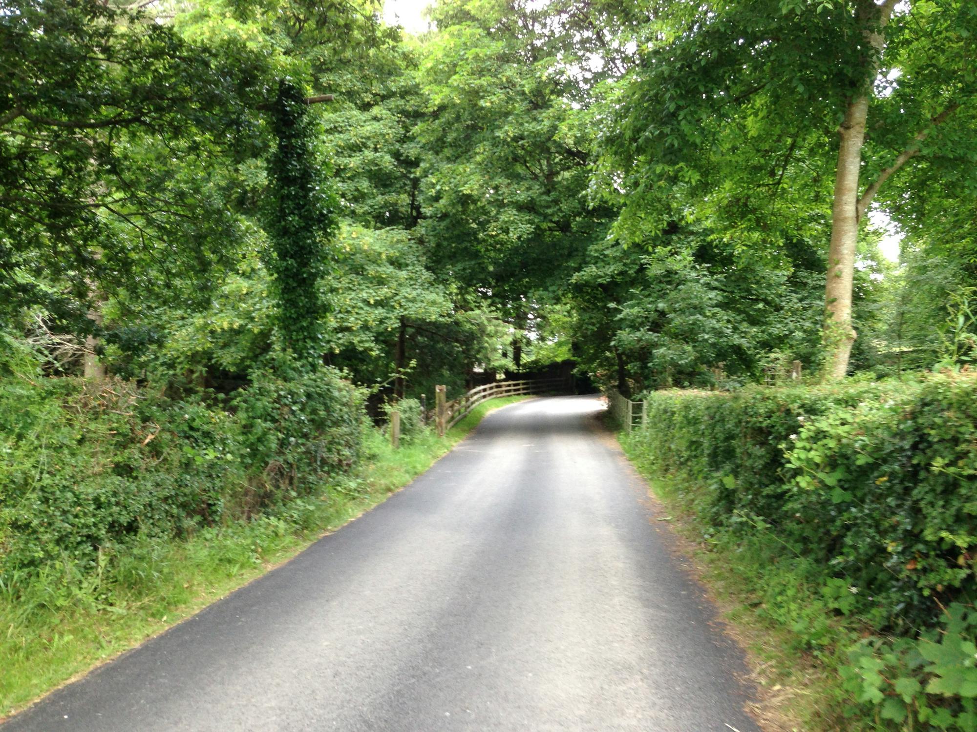 Cold plunge pool next to wooden sauna for contrast therapy